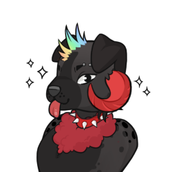 A black dog with a rainbow mohawk, red horns, a spiked collar, and a patch of red wool on its chest.
